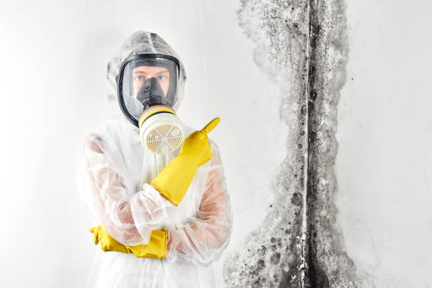 Best Industrial Mold Remediation  in Lake City, FL